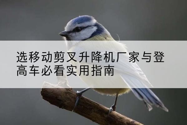 西丰电动升降机厂家-选移动剪叉升降机厂家与登高车必看实用指南