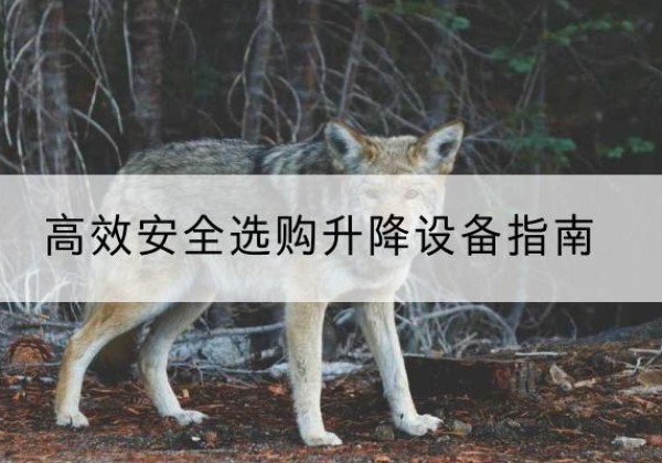 西丰升降货梯厂家推荐-*安全选购升降设备指南