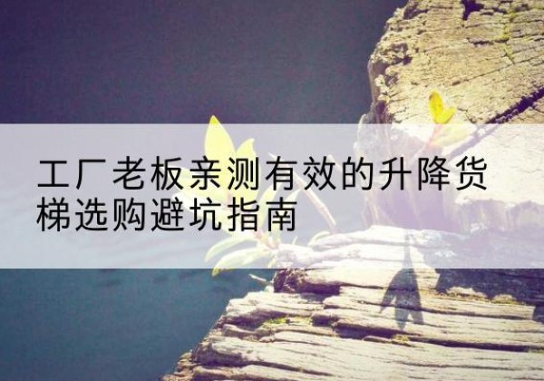 西丰升降货梯怎么选-工厂老板亲测有效的升降货梯选购避坑指南